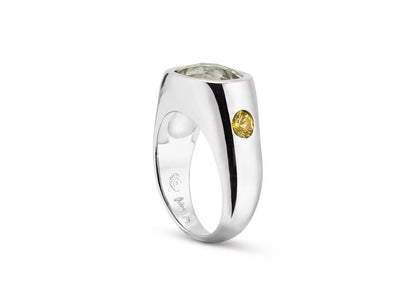The Sunny Ring