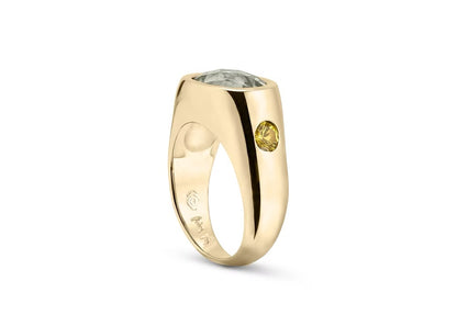 The Sunny Ring